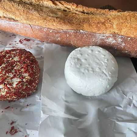 Un Petit Ilot De Confort - Made In Finland Monflanquin Eksteriør bilde